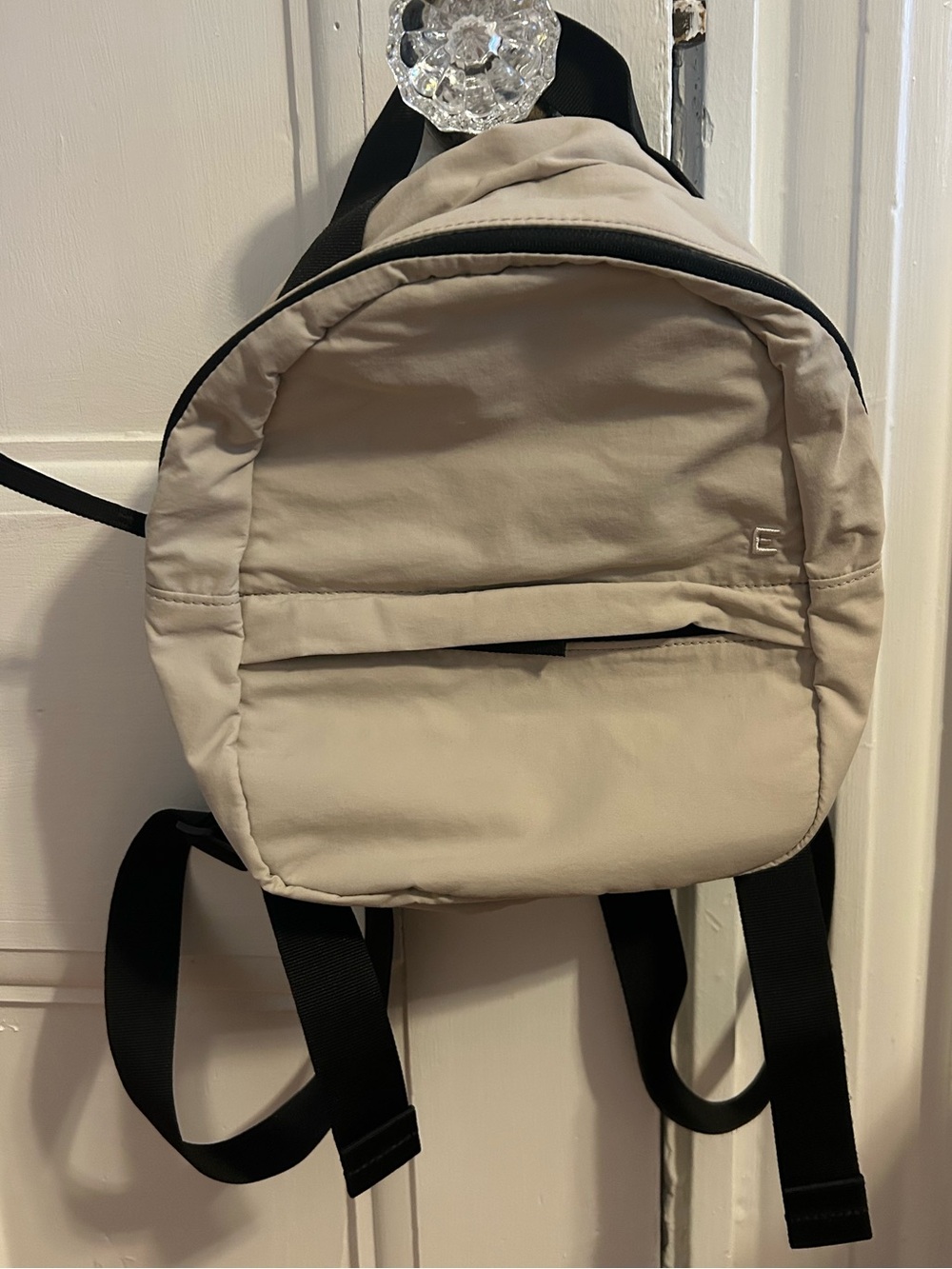 Everlane Mini Backpack
